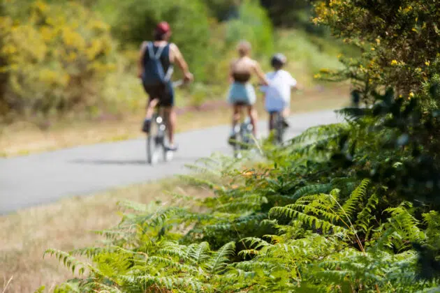 velo-dans-les-landes-site Voie vert de Tartas à Dax