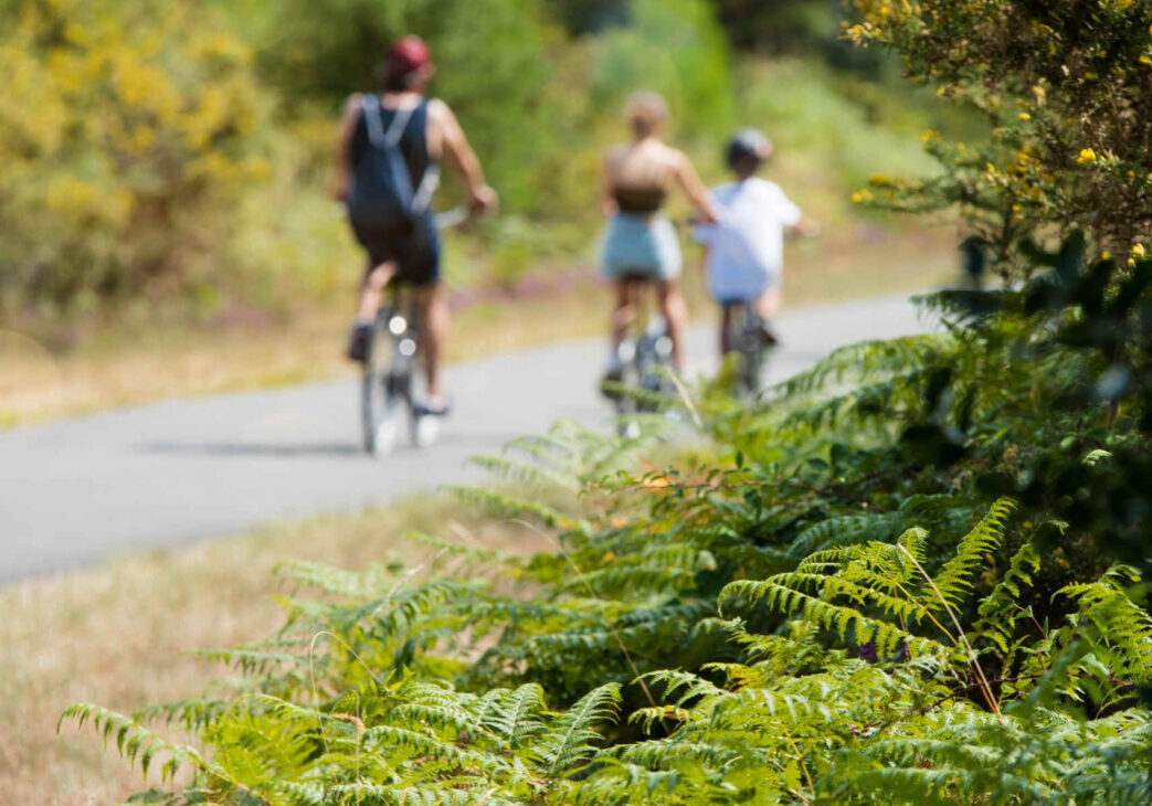velo-dans-les-landes-site Voie vert de Tartas à Dax