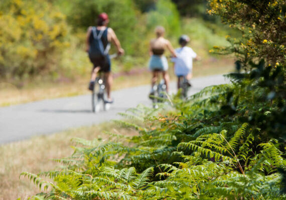 velo-dans-les-landes-site Voie vert de Tartas à Dax